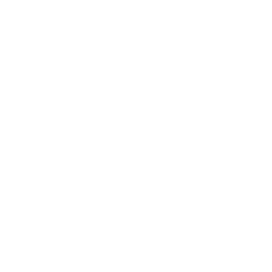 logo-white